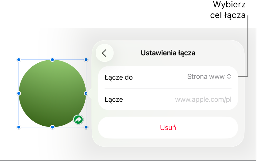 Narzędzia Ustawienia łącza; wybrane jest narzędzie Strona www; na dole znajduje się przycisk Usuń.