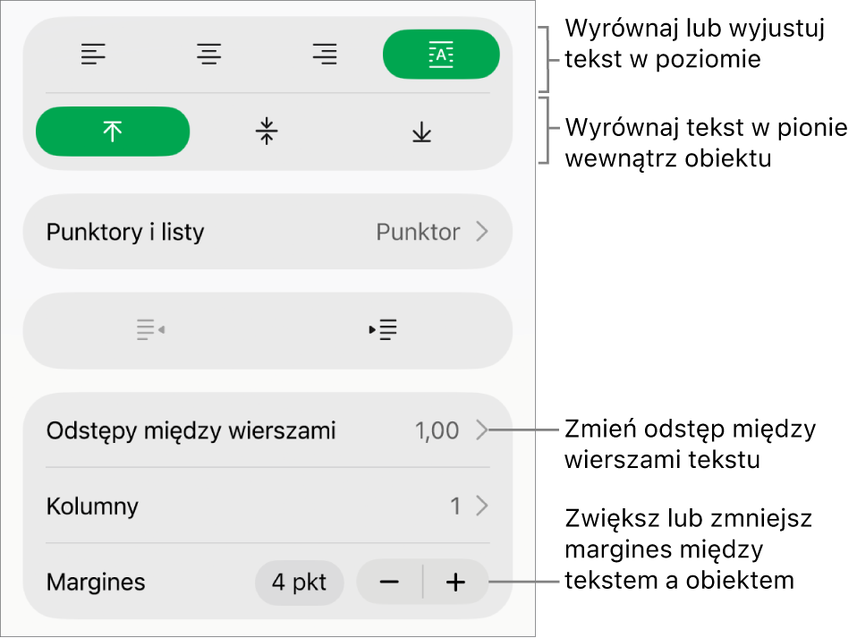 Sekcja Makieta na pasku bocznym Format z opisami wskazującymi przyciski wyrównania i odstępów tekstu.