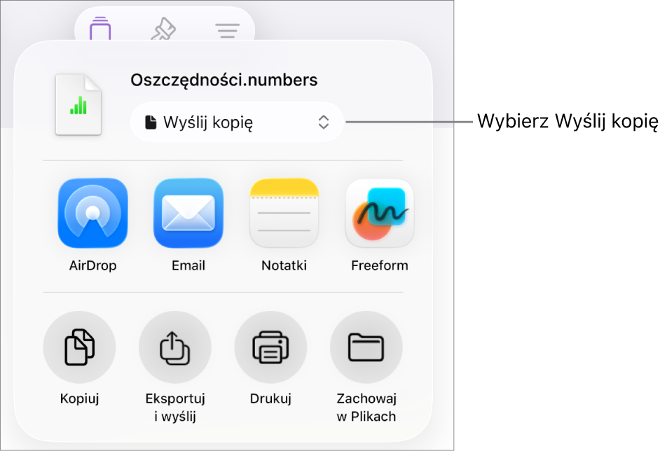 Menu udostępniania z wybraną opcją Wyślij kopię (na górze).
