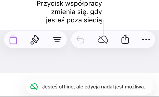 Przyciski znajdują się u góry ekranu; przycisk współpracy wyświetlany jest jako chmura przekreślona ukośną linią. Alert zawierający następującą informację: Brak połączenia z siecią, ale edycja nadal jest możliwa.
