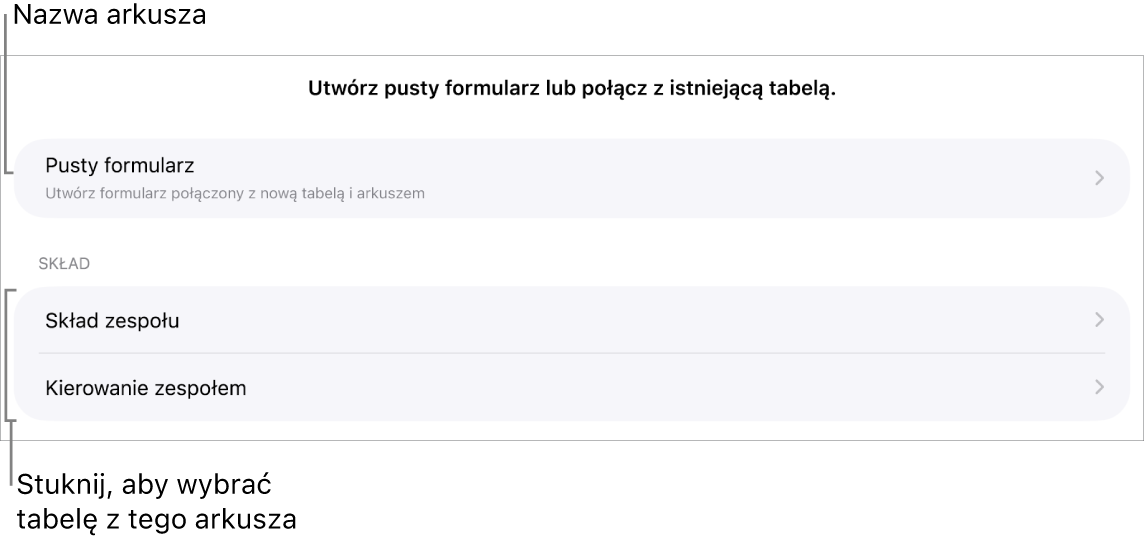 Lista tabeli w tym samym arkuszu kalkulacyjnym oraz na górze widoczna jest opcja tworzenia pustego formularza.