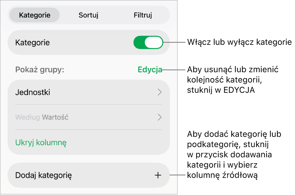 Menu Kategorii dla iPadzie z opcjami wyłączania lub usuwania kategorii, przegrupowywania danych, ukrywania kolumny źródłowej oraz dodawania kategorii.
