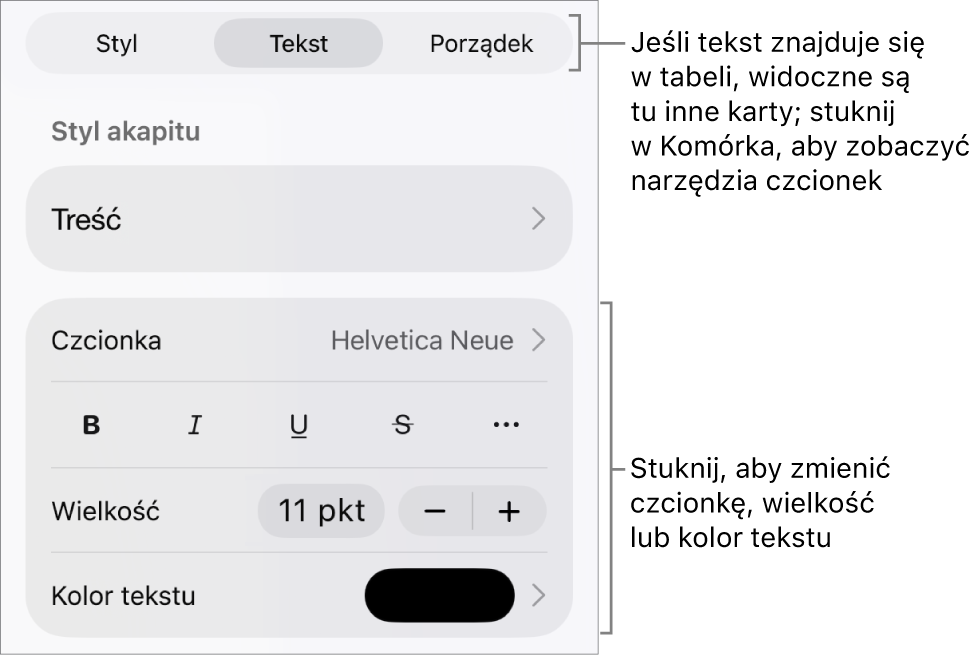 Narzędzia tekstów w menu Format służą do ustawiania stylów akapitu i znaków oraz czcionek ich wielkości i koloru.