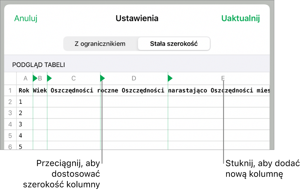 Ustawienia importowania pliku tekstowego o stałej szerokości.