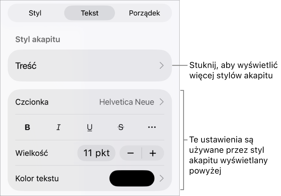 Menu Format z narzędziami tekstu pozwalającymi na ustawianie stylów akapitu, stylów znaków, czcionki, wielkości oraz koloru.