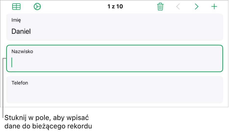 Rekord formularza pokazujący aktywne pole z punktem wstawiania.