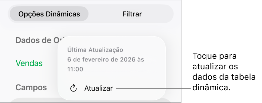 Menu Opções Dinâmicas mostrando a opção de atualizar a tabela dinâmica.