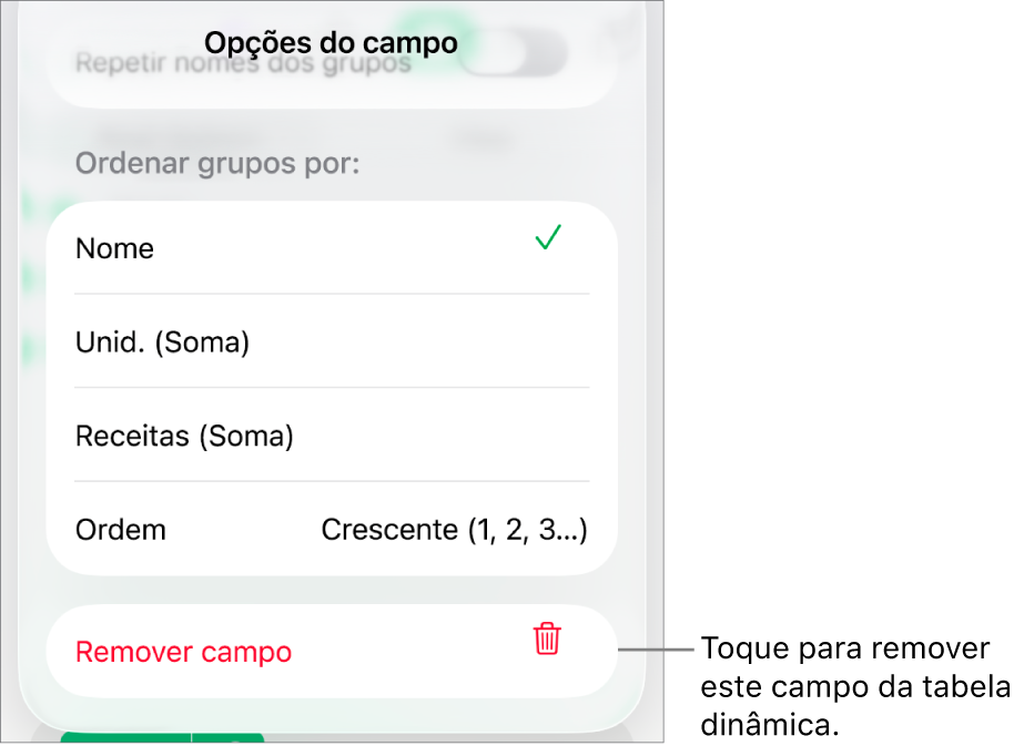 O menu "Opções do campo”, a mostrar os controlos que permitem agrupar e ordenar dados, assim como a opção para remover um campo.