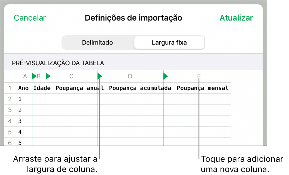 As definições de importação para um ficheiro de texto de largura fixa.