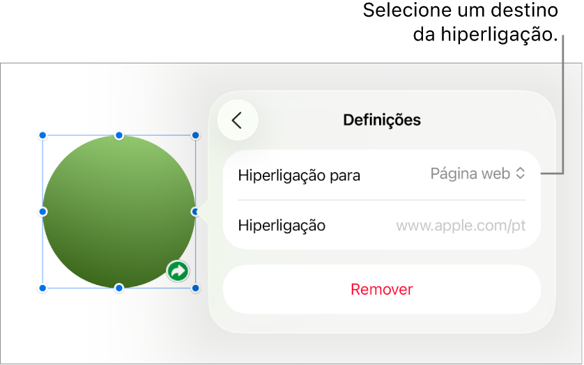 Os controlos “Definições” com a página web selecionada e o botão “Remover” na parte inferior.