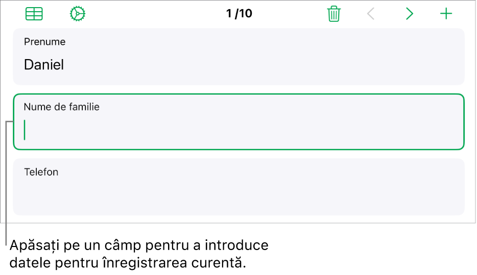 O înregistrare dintr-un formular afișând un câmp activ cu un punct de inserare.