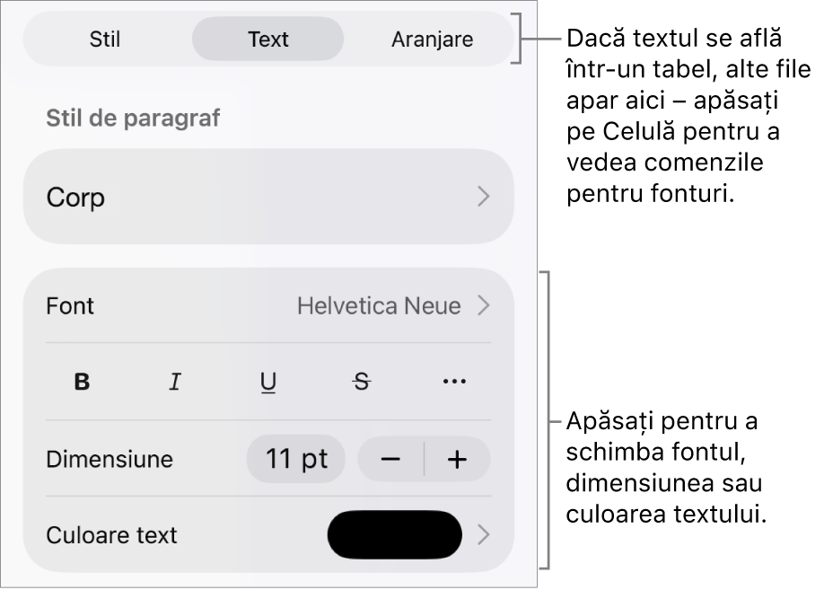 Comenzi text din meniul Format pentru configurarea paragrafelor și a stilurilor, fonturilor, dimensiunii și culorii caracterelor.