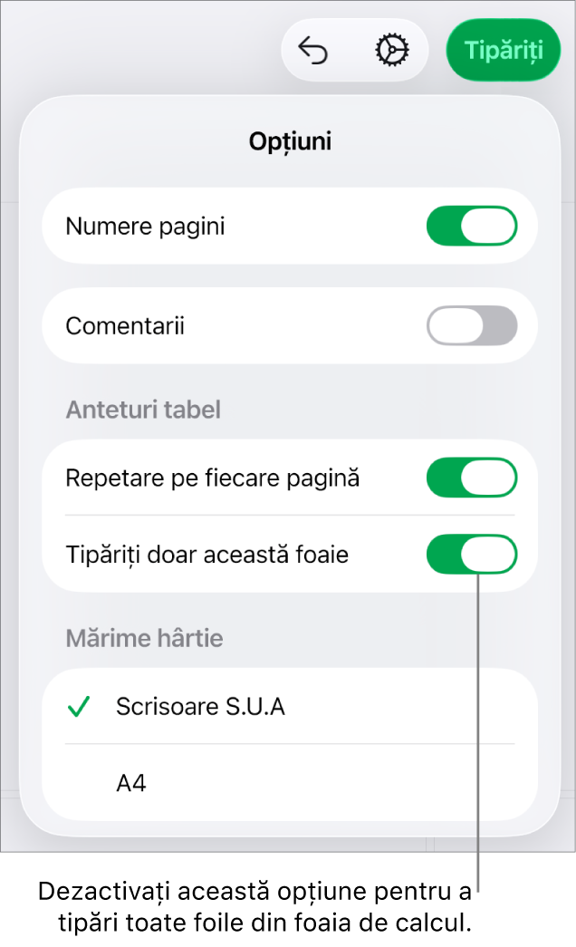 Panoul de previzualizare tipărire, cu comenzi pentru a afișa numerele paginilor, a repeta anteturile pe fiecare pagină, a modifica dimensiunea hârtiei sau a alege dacă să tipăriți întreaga foaie de calcul sau doar foaia curentă.