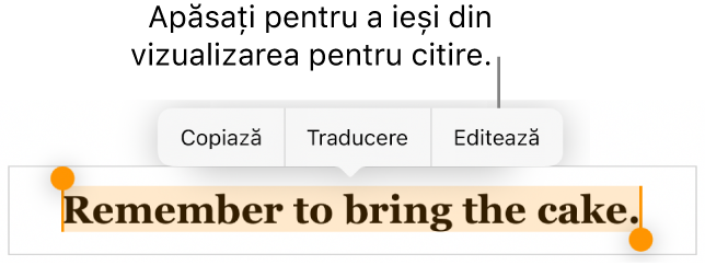 O propoziție este selectată și deasupra acesteia se află un meniu contextual cu butoanele Copiați și Editați.