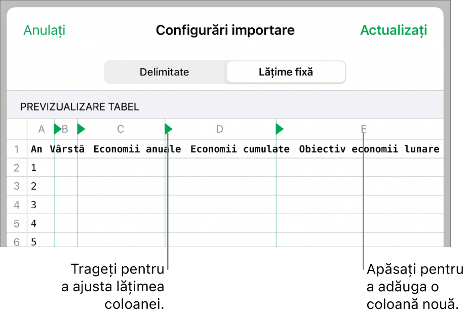 Configurările de importare pentru un fișier de text cu lățime fixă.
