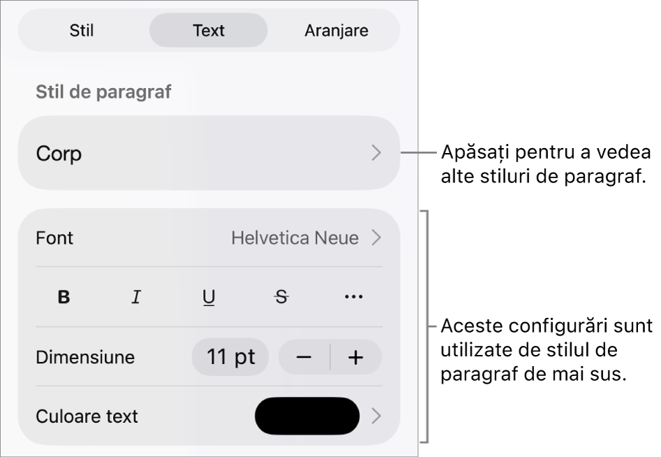 Meniul Format afișând comenzi de text pentru configurarea stilurilor, fonturilor, dimensiunii și culorii paragrafelor și caracterelor.