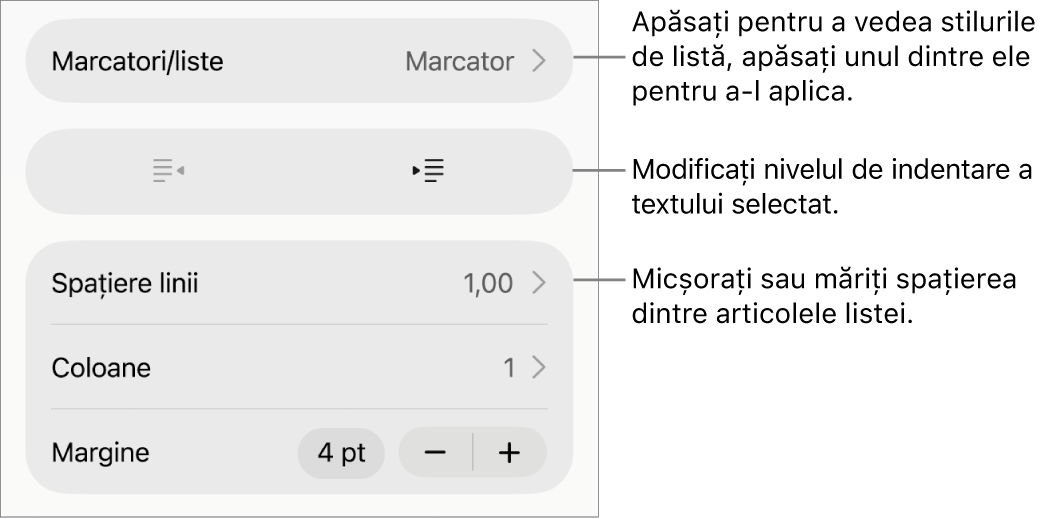 Secțiunea Marcatori/liste din comenzile Format cu explicații pentru Marcatori/liste, butoanele de indentare și indentare exterioară, precum și comenzile pentru spațierea liniilor.