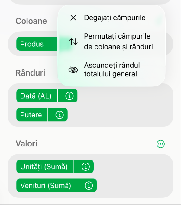 Meniul Mai multe opțiuni de câmpuri afișând comenzile pentru ascunderea totalurilor generale, permutarea câmpurilor de coloane și rânduri și ștergerea câmpurilor.