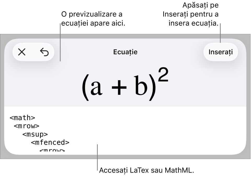 Caseta de dialog Ecuație, afișând o ecuație scrisă cu ajutorul comenzilor MathML și, deasupra, o previzualizare a formulei.