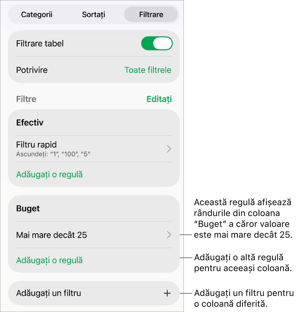 Comenzile pentru adăugarea de noi reguli de filtrare sau editarea celor existente.