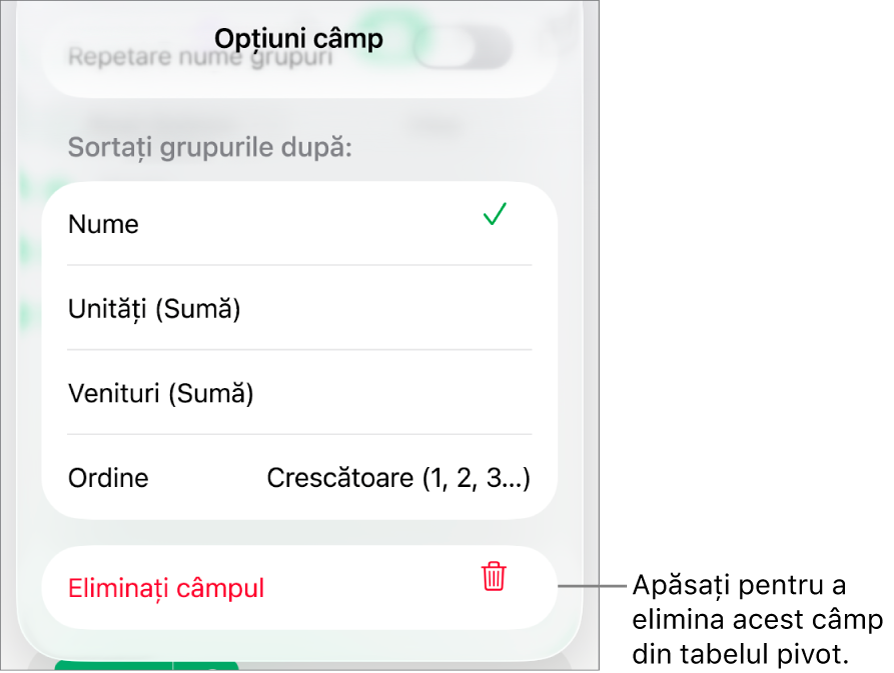 Meniul Opțiuni câmp afișând comenzile pentru gruparea și sortarea datelor și opțiunea de eliminare a unui câmp.