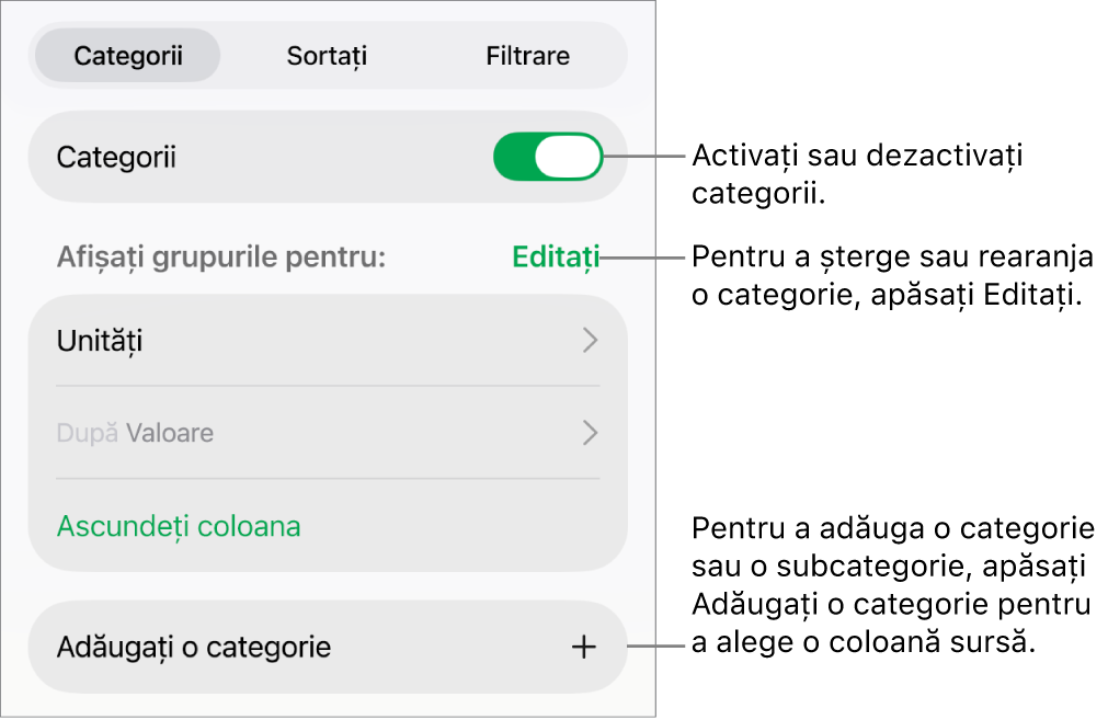 Meniu Categorii pentru iPad cu opțiuni pentru a dezactiva categoriile, șterge categoriile, regrupa datele, ascunde o coloană sursă și a adăuga categorii.