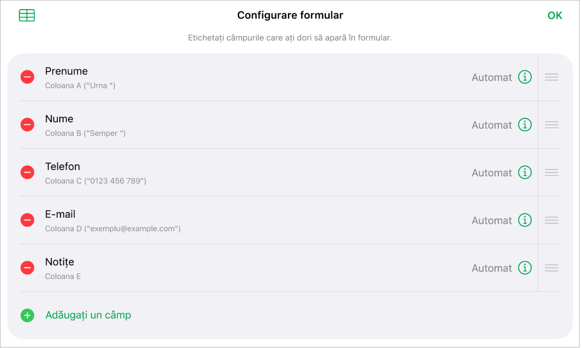 Comenzile de configurare a formularului, afișând opțiunile de adăugare, editare, reordonare și ștergere a câmpurilor, cât și pentru modificarea formatului câmpurilor (de exemplu, din Text în Procentaj).