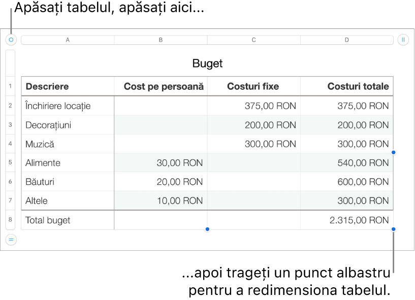 Un tabel selectat, cu puncte albastre pentru redimensionare.