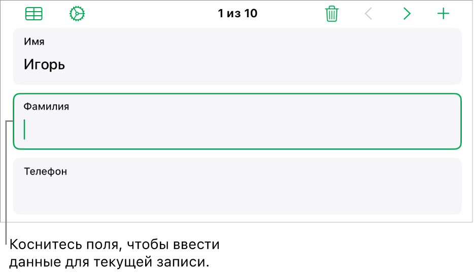 Показана запись в форме. В активном поле находится точка вставки.