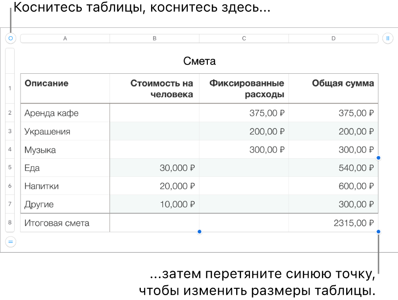 Выбранная таблица с синими точками для изменения размера.