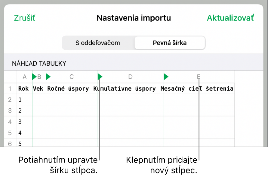Nastavenia importu pre textový súbor s fixnou šírkou.