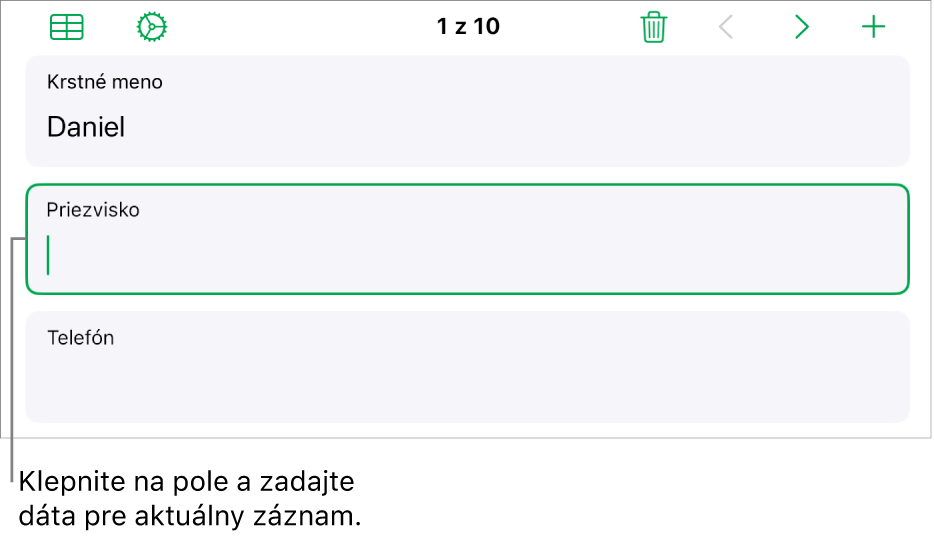 Záznam vo formulári zobrazujúci aktívne pole s kurzorom.