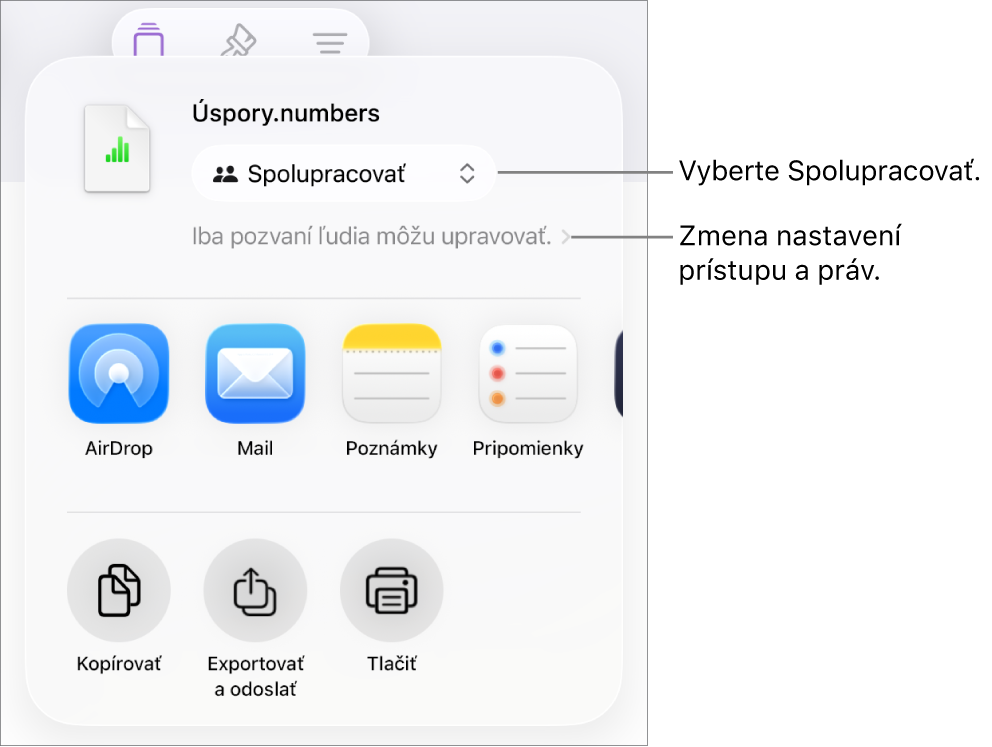 Menu Zdieľať s vybranou možnosťou Spolupracovať navrchu a pod ňou sa nachádzajú nastavenia prístupu a povolení.