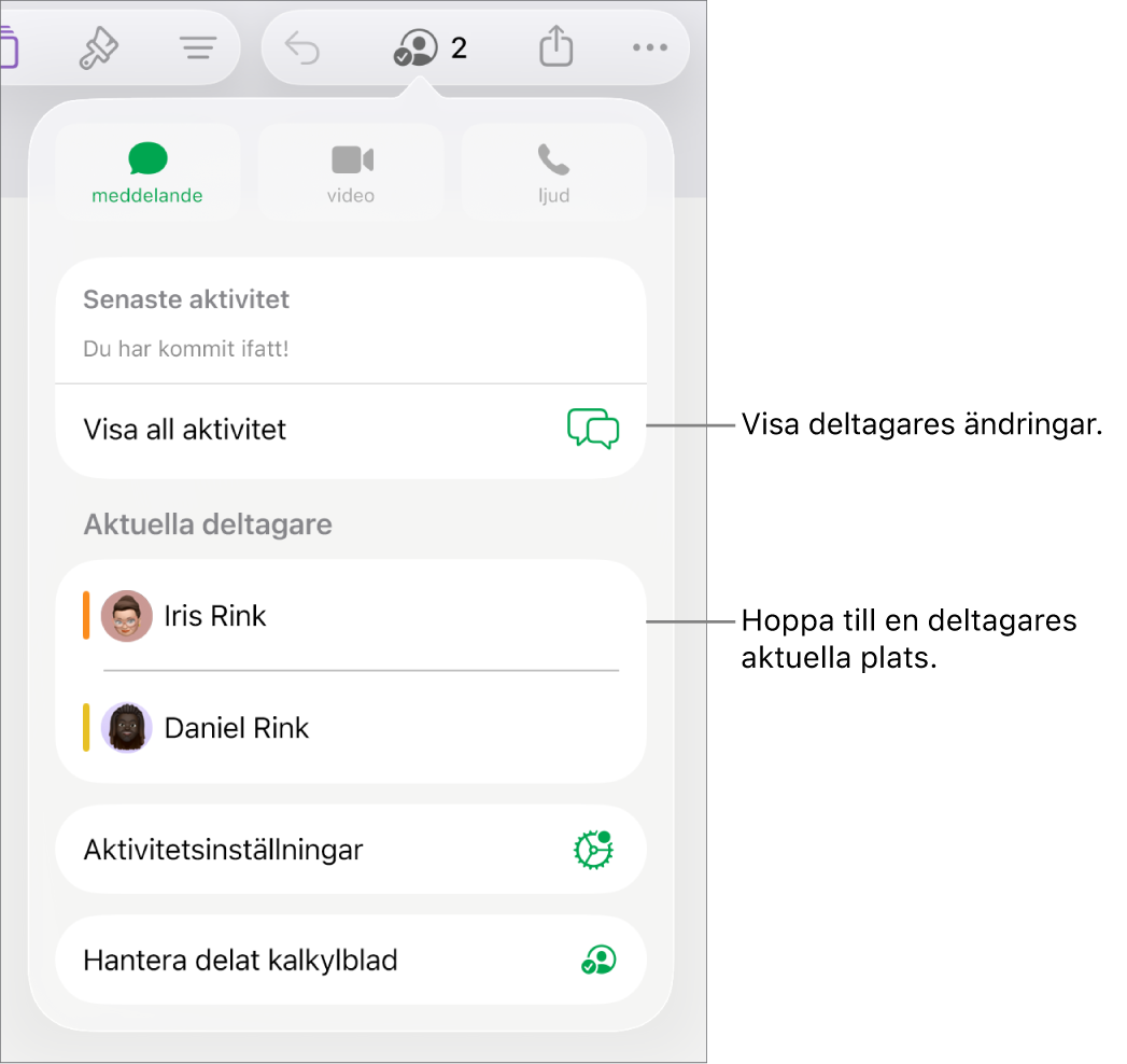 Samarbetsmenyn med aktuella deltagare listade.
