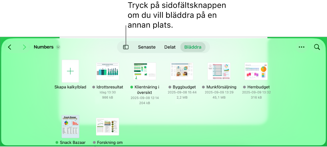 Bläddringsvyn i dokumenthanteraren med en platslänk i det övre vänstra hörnet och ett sökfält under den. I det övre högra hörnet finns knappen för att lägga till ett kalkylblad, knappen för ny mapp, en popupmeny där det går att välja mellan list- och symbolvy och filtrera efter namn, datum, storlek, typ och tagg samt en väljknapp. Under dessa finns miniatyrer för befintliga kalkylblad.