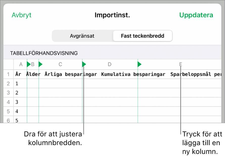 Importinställningar för en textfil med fast teckenbredd.