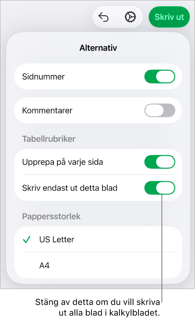 Utskriftsförhandsvisningspanelen med reglage för att visa sidnummer, upprepa sidhuvuden på varje sida, ändra pappersformat och välja att skriva ut hela kalkylbladet eller bara det aktuella bladet.