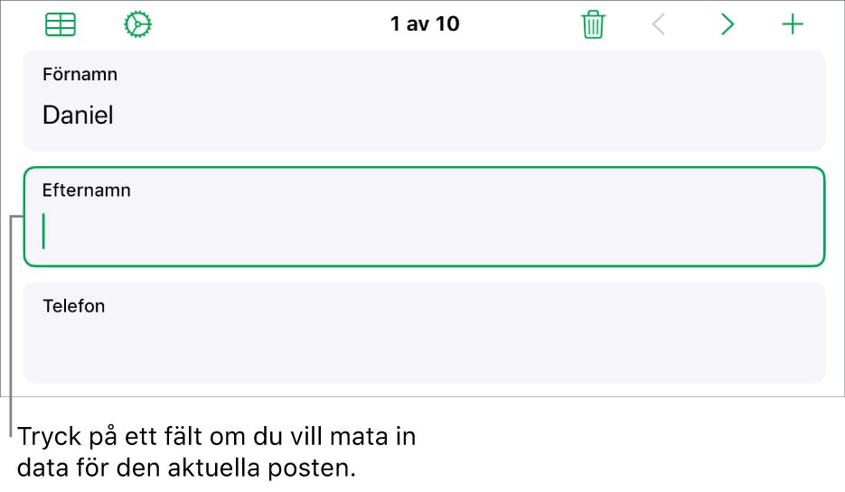 En post i ett formulär som visar ett aktivt fält med en insättningspunkt.