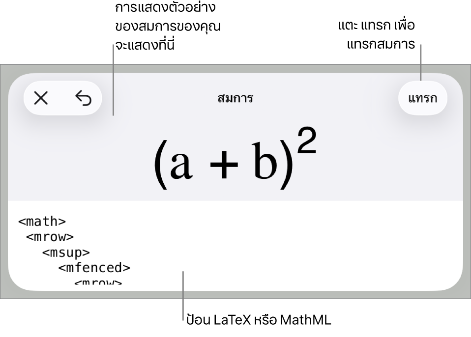 หน้าต่างโต้ตอบสมการ ที่แสดงสมการที่เขียนโดยใช้คำสั่ง MathML และการแสดงตัวอย่างของสูตรด้านบน
