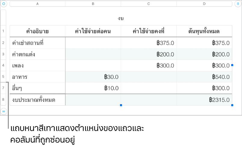 แถบหนาสีเทาที่แสดงตำแหน่งของแถวและคอลัมน์ที่ถูกซ่อนอยู่