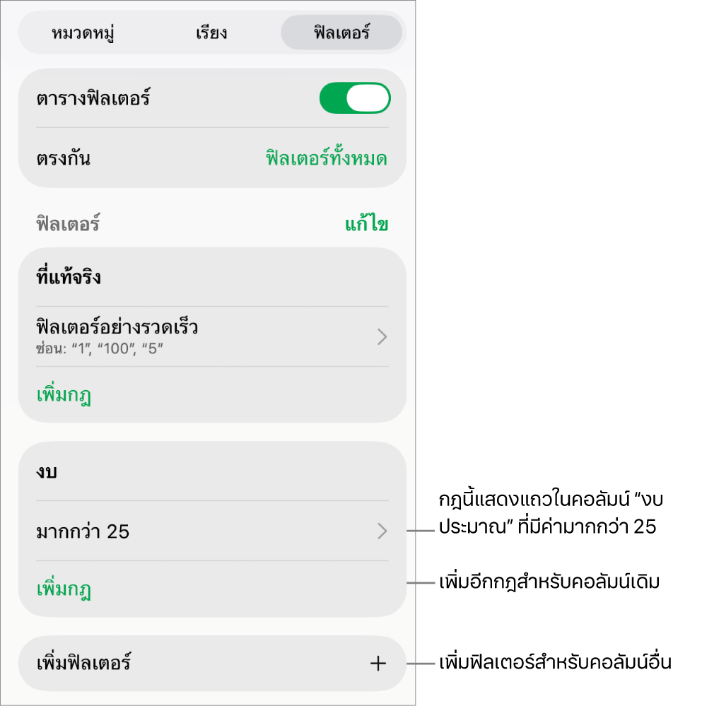 การควบคุมสำหรับเพิ่มกฎการฟิลเตอร์ใหม่หรือการแก้ไขกฎที่มีอยู่แล้ว