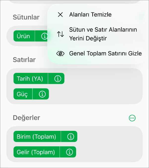 Genel toplamları gizleme, sütun ve satır alanlarını yer değiştirme ve alanları temizleme denetimlerini gösteren Daha Fazla Alan Seçeneği menüsü.