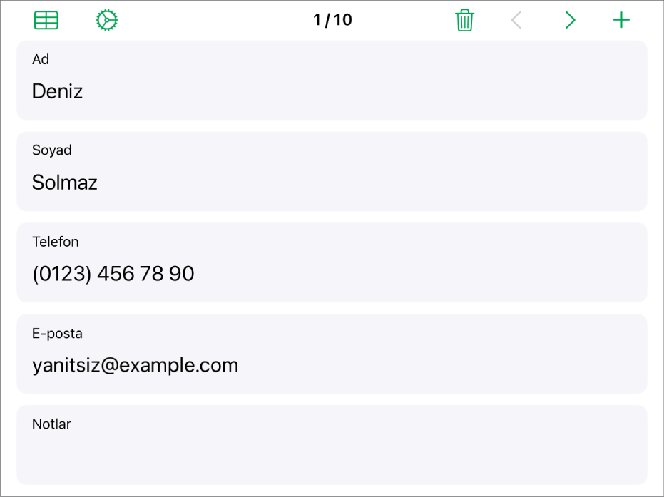 Ad, telefon numarası, e-posta vb. alanlarla formdaki bir kayıt. Bağlantılı tabloyu görüntüleme, form ayarı denetimleri ve kayıtlar arasında geçiş yapma denetimleri de en üsttedir.