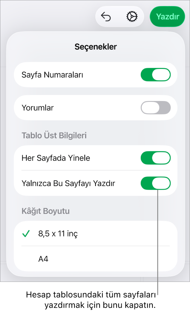 Sayfa numaralarını gösterme, her sayfaya üst bilgi ekleme, kâğıt boyutunu değiştirme ve tüm sayfanın veya sadece güncel sayfanın yazdırılmasını seçme denetimleri içeren yazdırma önizlemesi bölümü.
