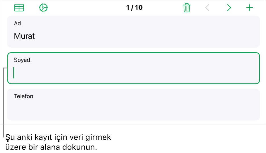 Ekleme noktası ile etkin bir alanı gösteren formdaki bir kayıt.