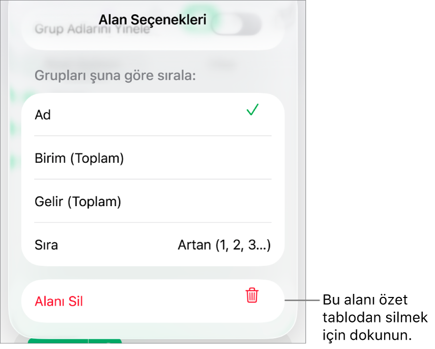 Verileri gruplama ve sıralama denetimleri ile alan silme seçeneğini gösteren Alan Seçenekleri menüsü.