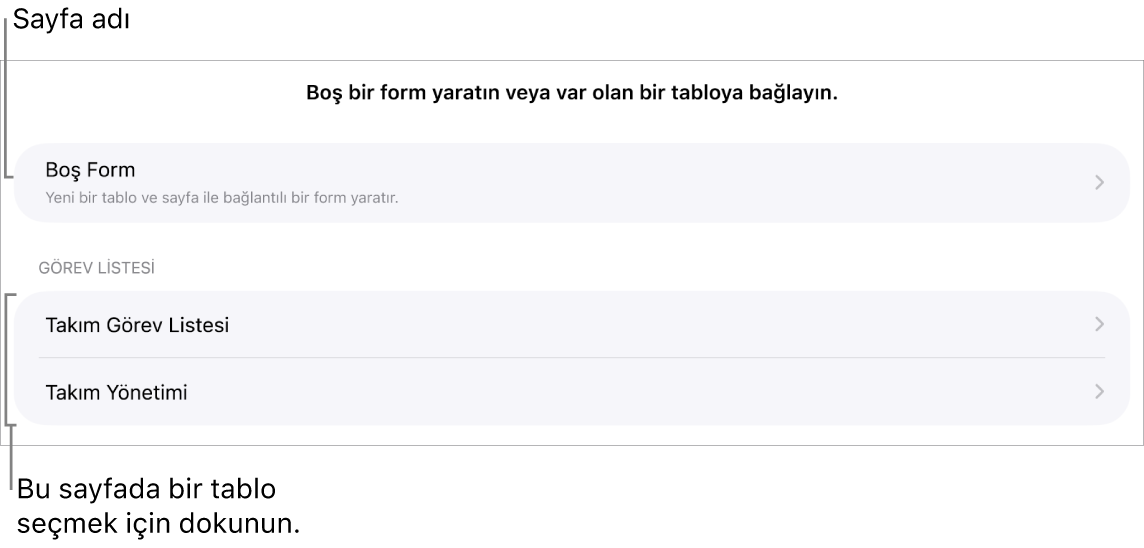 En üstte boş bir form yaratma seçeneği ile birlikte aynı hesap tablosunda bulunan tabloların listesi.