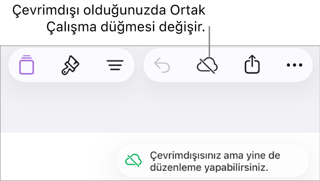 Ekranın en üstündeki düğmeler; Ortak Çalışma düğmesi, üzerinde çapraz bir çizgi olan bir buluta değişmiş. Ekrandaki bir uyarı “Çevrimdışısınız ama yine de düzenleyebilirsiniz” der.