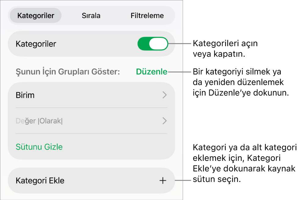 Kategorileri kapatma, kategorileri silme, verileri yeniden gruplama, kaynak sütunu gizleme ve kategori ekleme seçeneklerini içeren, iPad için Kategoriler menüsü.