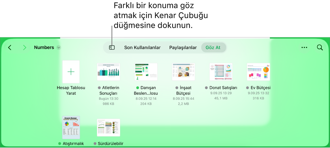 Sol üst köşede Kenar Çubuğu düğmesi ile belge yöneticisinin göz at görüntüsü. Sağ üstte Ekle düğmesi, Yeni Klasör düğmesi, Simgeler düğmesi (ada, tarihe, büyüklüğe veya etikete göre sıralamak için), Seç düğmesi ve Ara düğmesi.